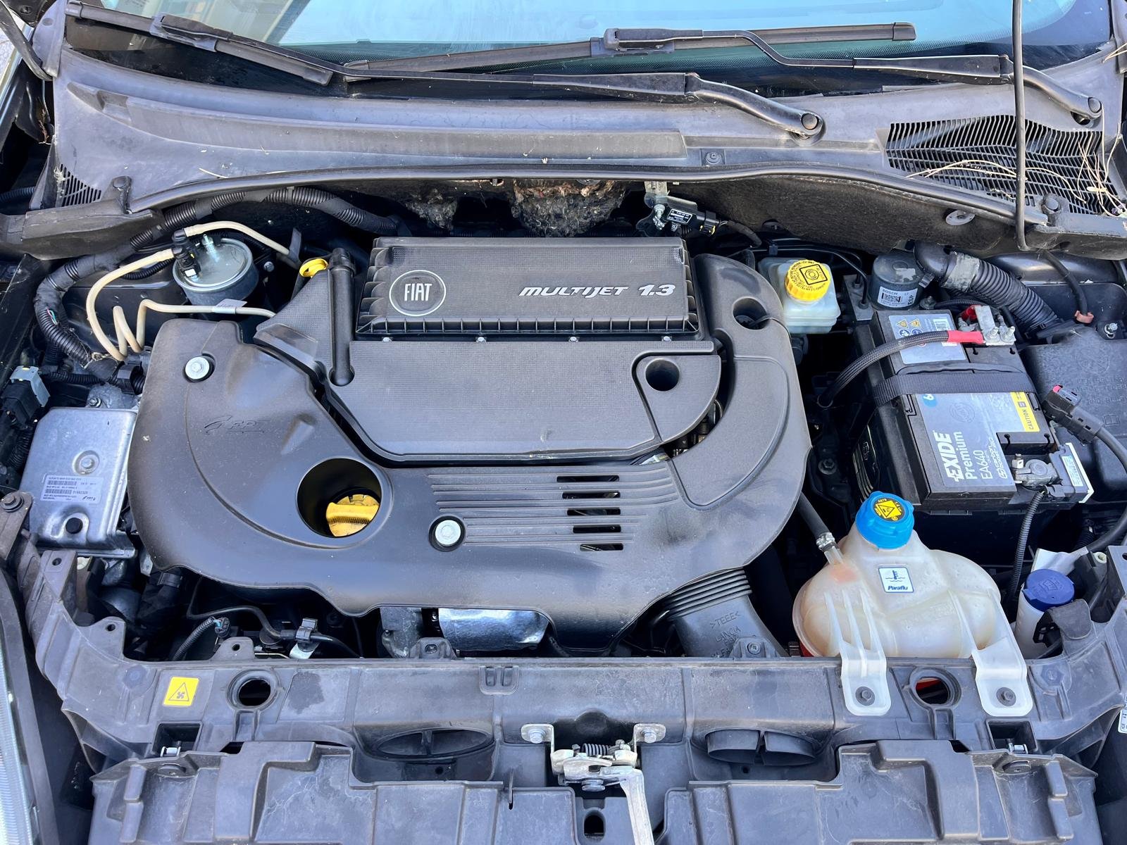 FIAT PUNTO EVO